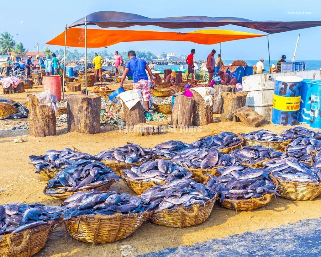 686b64b925786 a fish market in sri lanka