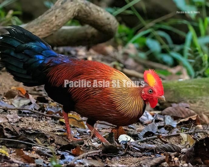 991922 5923607b4c924c5fb41e7b09ac1a5603~mv2