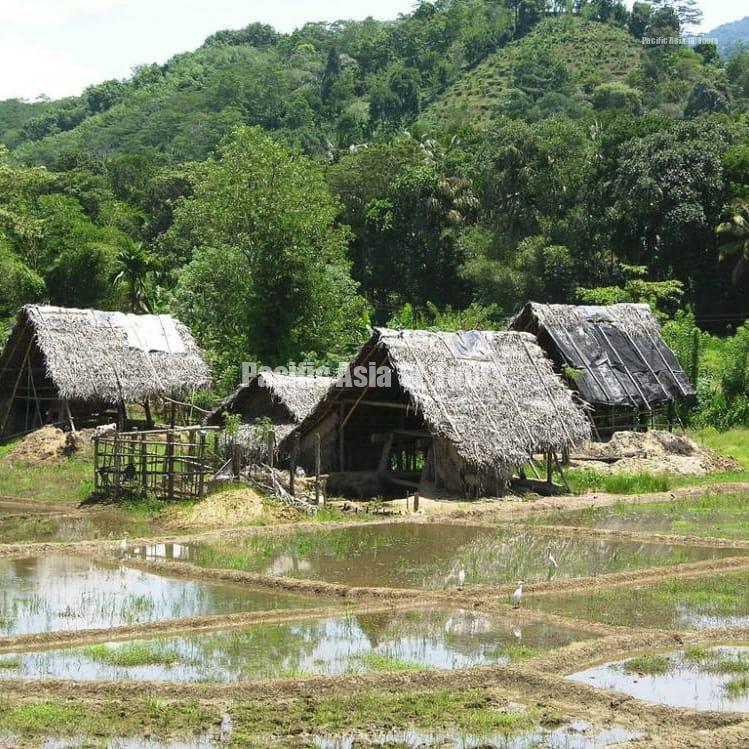 whatsapp image 2025 10 17 at 22.15.17 02c58bce