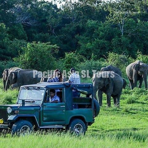 whatsapp image 2025 10 17 at 22.20.12 6871cca8