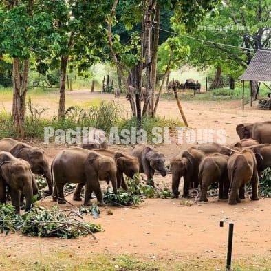 whatsapp image 2025 10 17 at 22.20.12 f87e7c50