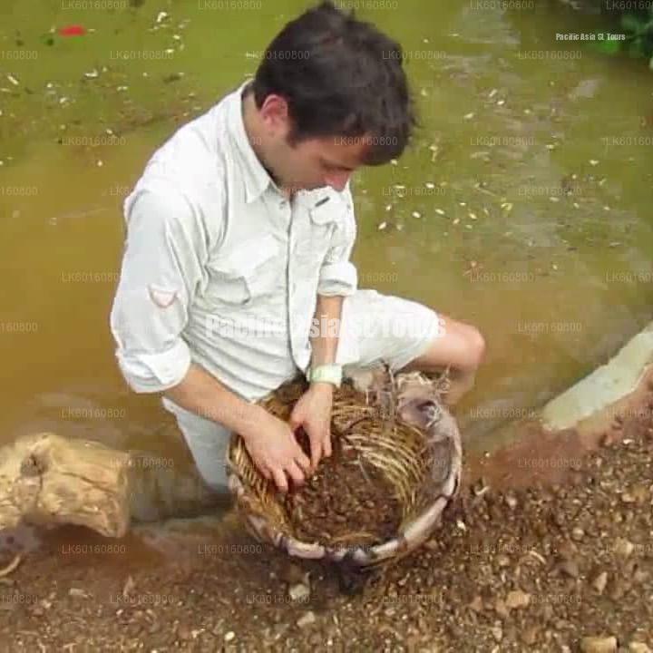 whatsapp image 2025 10 17 at 23.01.29 03fb56f7