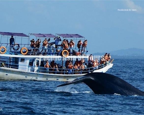 ep29e5zs0fadacjhqabp