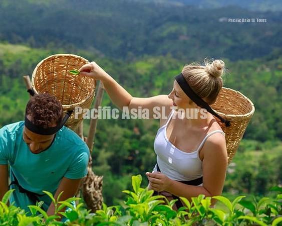 factorytour header mobile 2