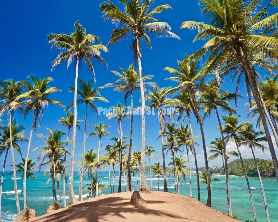 odz1lpusxcdjqd5uhbjsa thumb 60bb